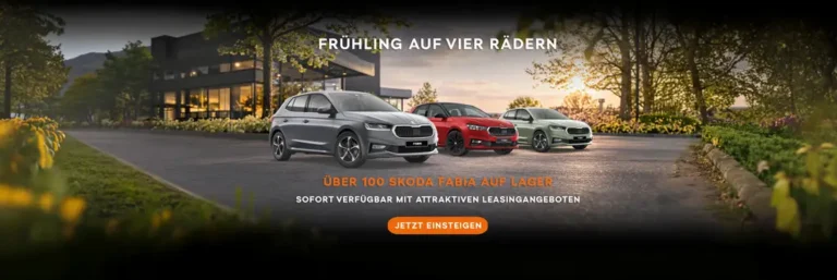 Newsblog skoda fabia lagerwagen