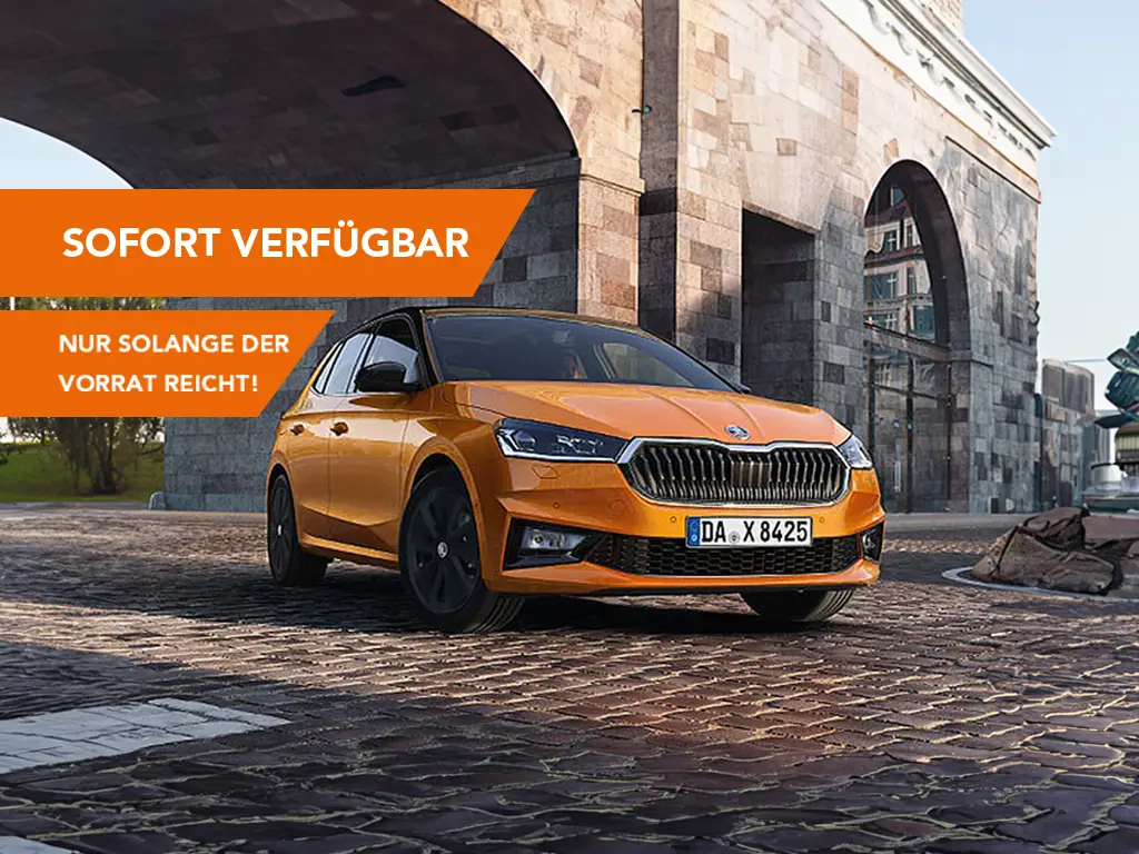 Topdeals fabia tour sofort verfügbar
