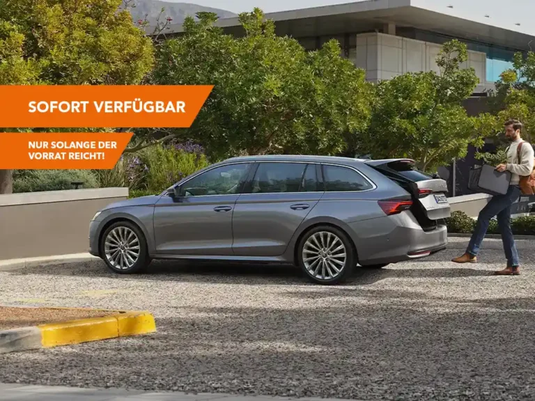 Topdeals skoda octavia störer