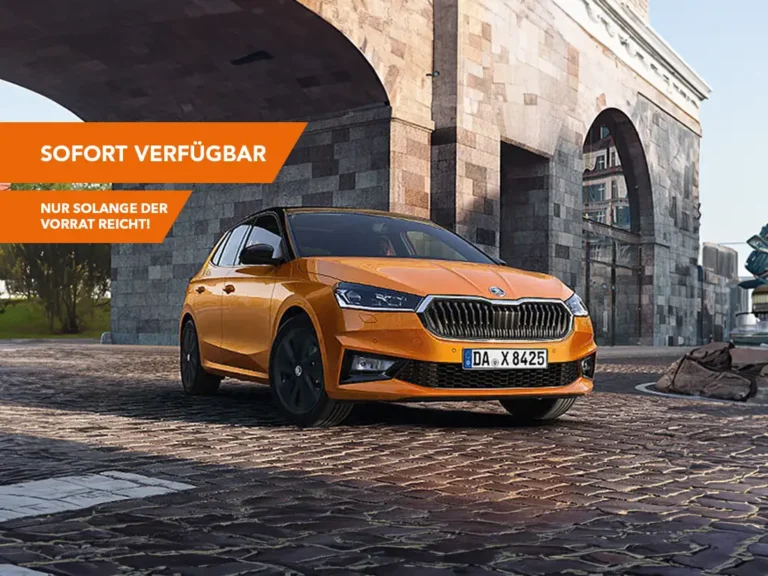 Topdeals skoda fabia störer