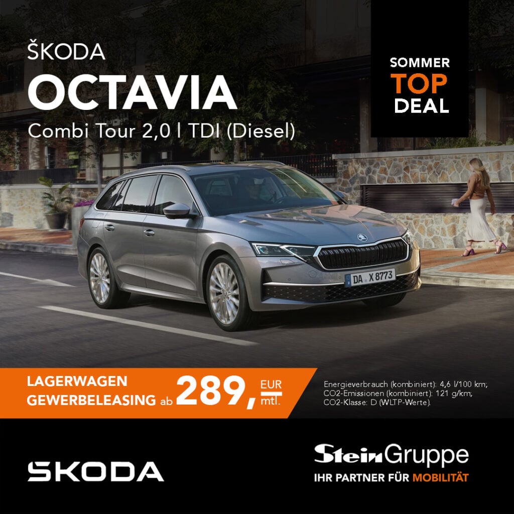 07 2026 octavia gewerbe