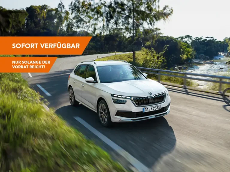 Topdeals skoda kamiq störer